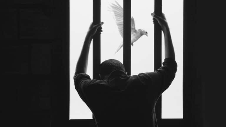 ШҚО-да 50-ден астам сотталған рақымшылыққа ілінуі мүмкін