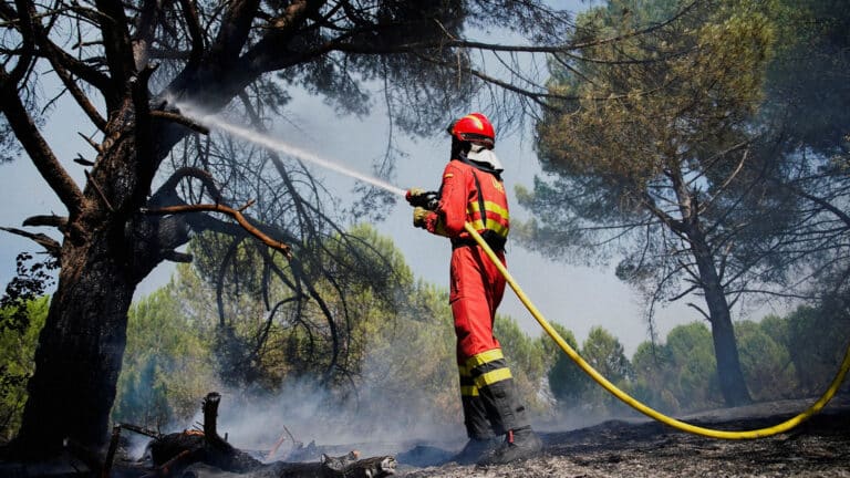 Spain and France race to contain wildfires ahead of new heatwave