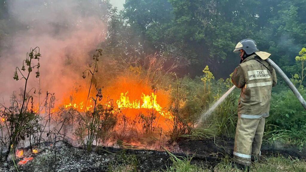 «Жасыл даму» орман өртінің алдын алуға 16 млрд теңге бөлді