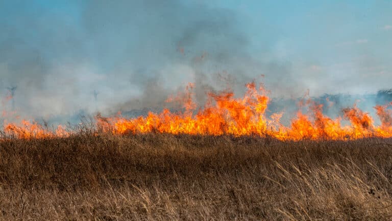 Степногорск маңында найзағайдан дала өртенді