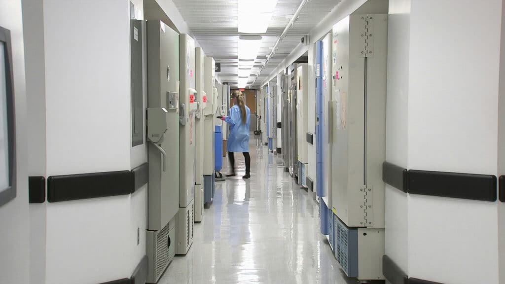 В Кордае построили новую больницу на замену опасной клинике 1960 года