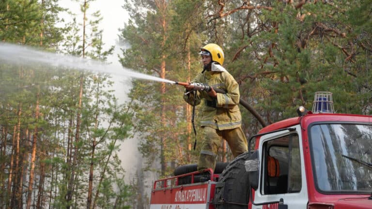 «Семей орманы» мемлекеттік табиғи резерваты тағы екі жерден өртеніп жатыр