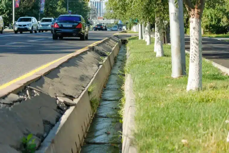 Алматинцы массово обсуждают закрытие арыков в городе