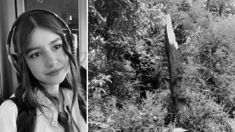 Девушка, на которую упало дерево в роще Баума, умерла спустя две недели в реанимации
