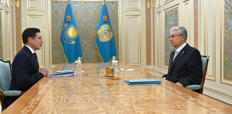 Су және энергетика: Тоқаев Қырғызстандағы жаңа елшінің алдына міндеттер қойды