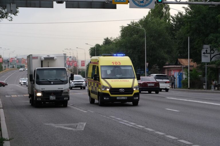 Алматы дәрігерлері аптап ыстыққа байланысты тұрғындарға кеңес берді
