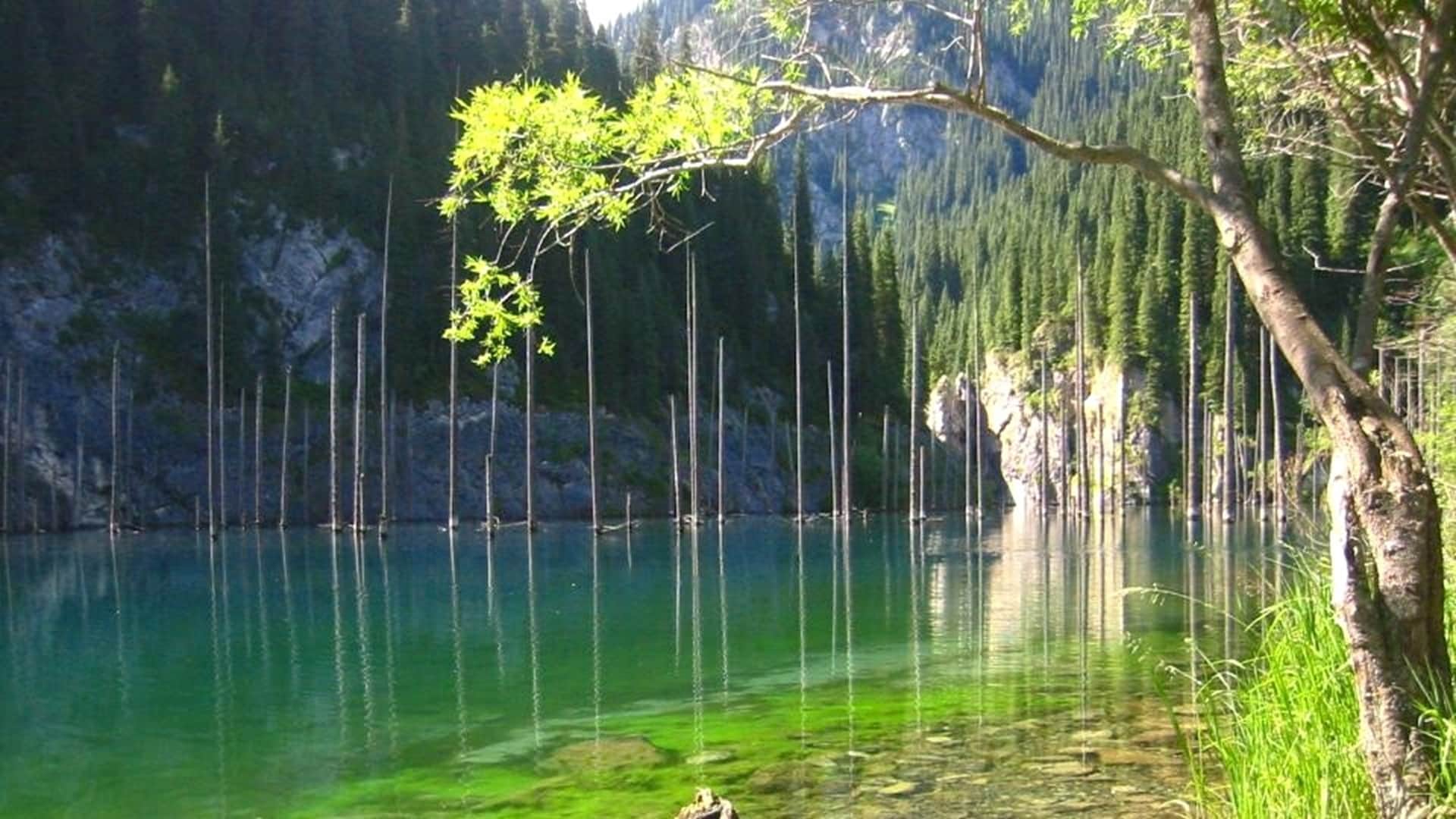 Алматы облысындағы Қайыңды көлі