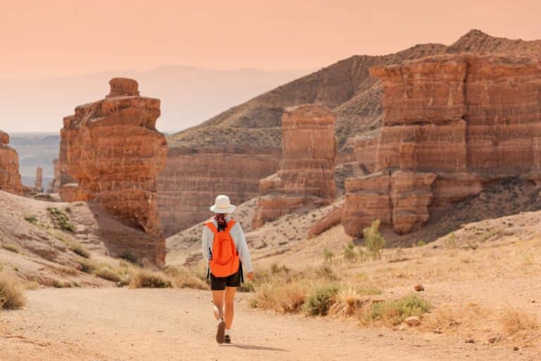 Шығынға батқан Kazakh Tourism акционеріне дивиденд төлемейді