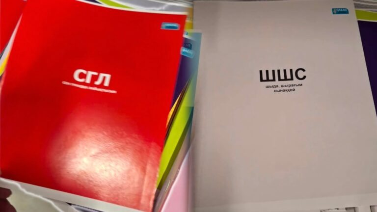 «ШШС» пен «СГЛ»: бейәдеп астары бар дәптерлер желіде дау тудырды