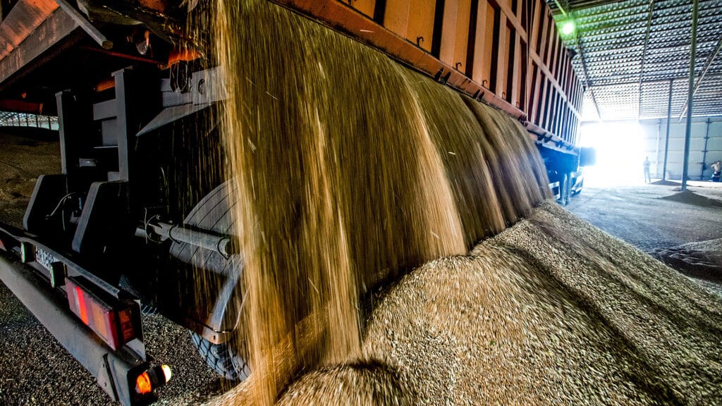Loading process of wheat grain in elevator granary warehouse. Agro manufacturing plant equipment. Harvest time.
