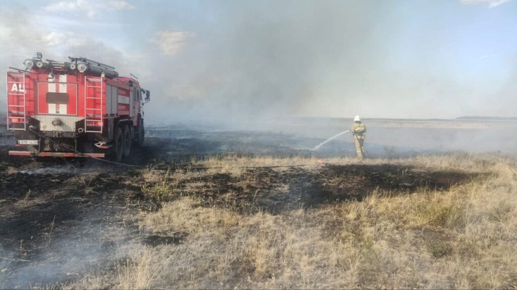 В Акмолинской области сгорело 67 га сухостоя