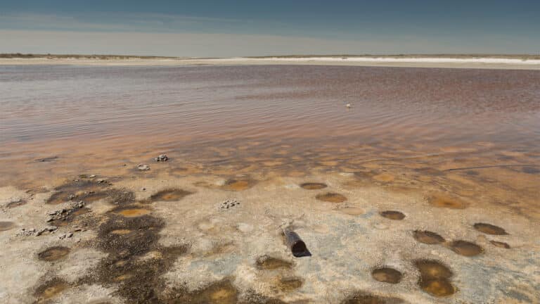 North Aral Sea water volume hits highest level in years