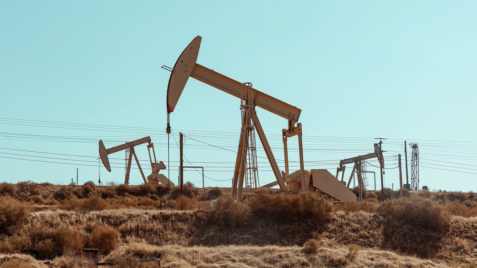 Компанию добывающую нефть на Тенге могут оштрафовать