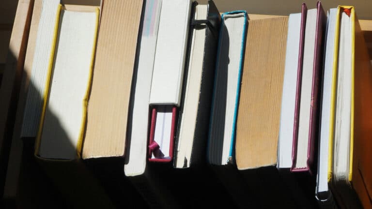 На алматинской барахолке будут выдавать книги из библиотек
