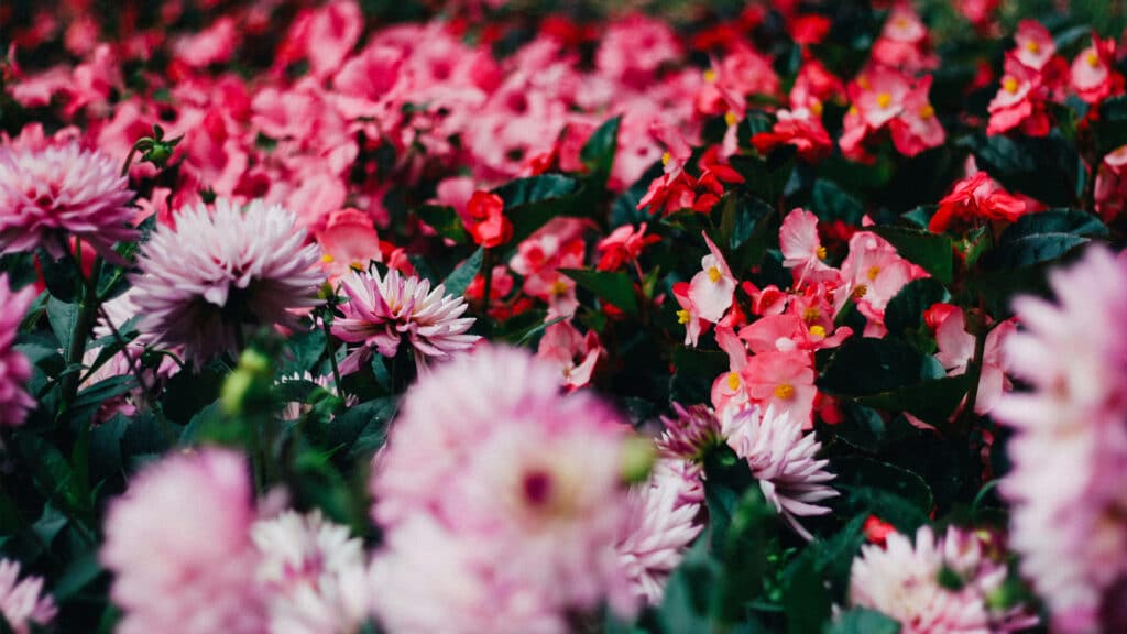 Фото: Unsplash, бильд-редактор: Дастан Шанай