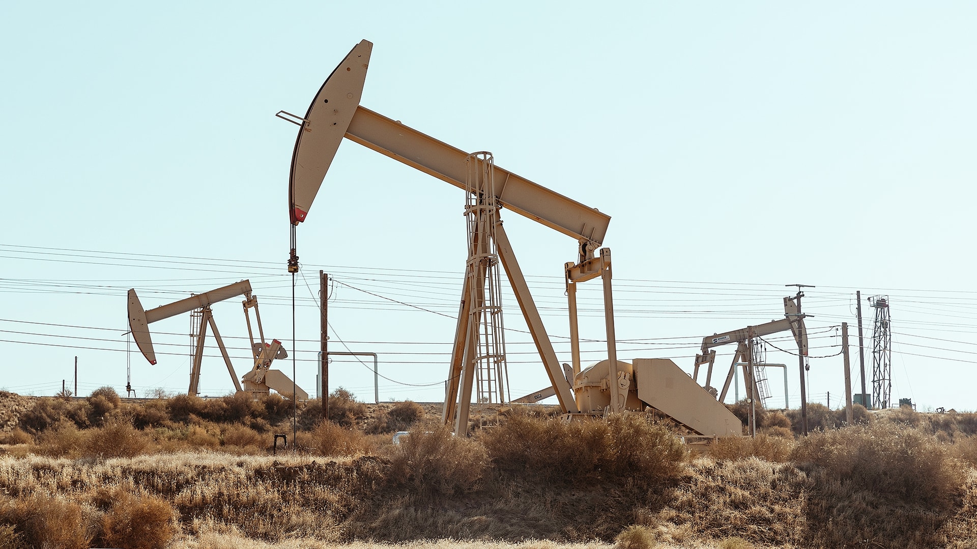 Директор нефтяной компании заработала всего 1,5 млн теңге за год