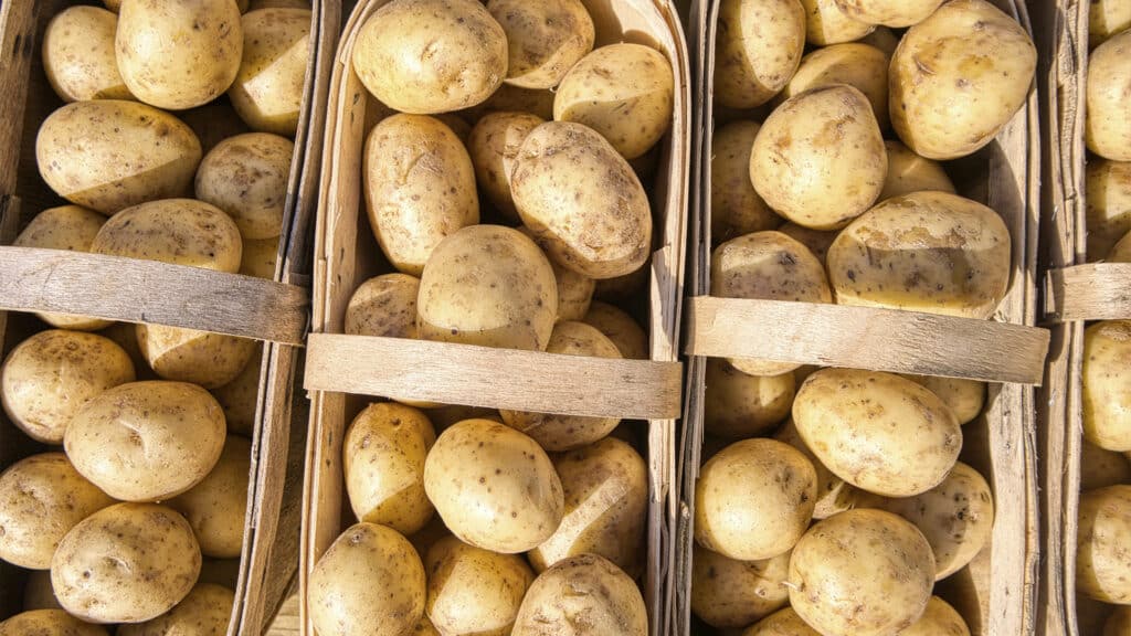Где в Казахстане самые дешевые продукты – статистика БНС
