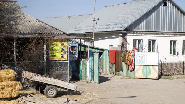 Неухоженные дома будут отмечать табличками позора в Узбекистане