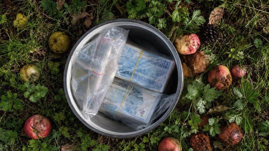 В Павлодаре полицейские нашли 24 млн теңге в кастрюле под яблоней
