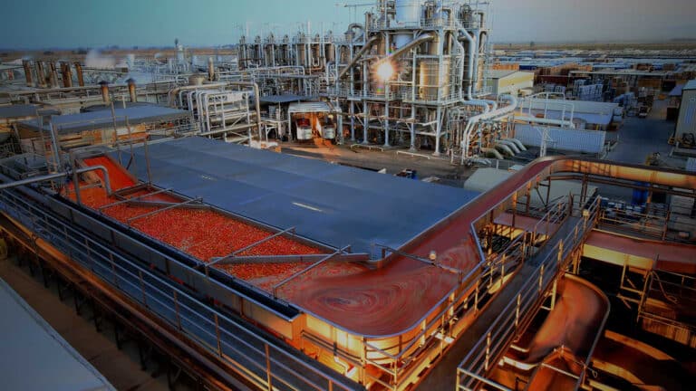 Получившая миллиарды госденег компания запустит еще один завод в Казахстане