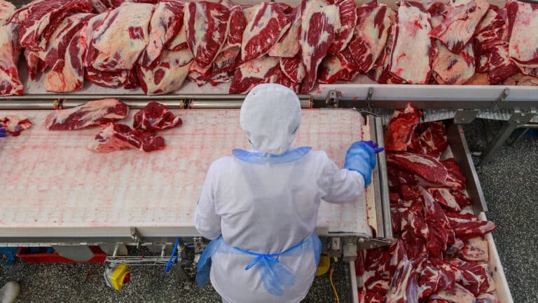 Почему цены на мясо в Казахстане зависели от Узбекистана