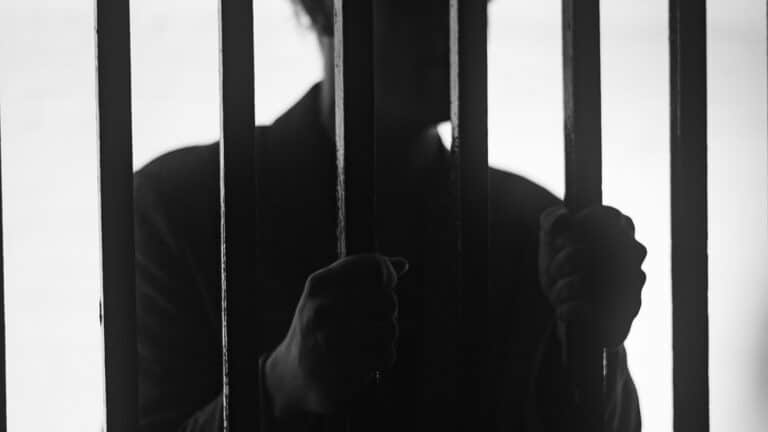 После гибели шести человек на ферме депутата в Павлодарской области задержали троих