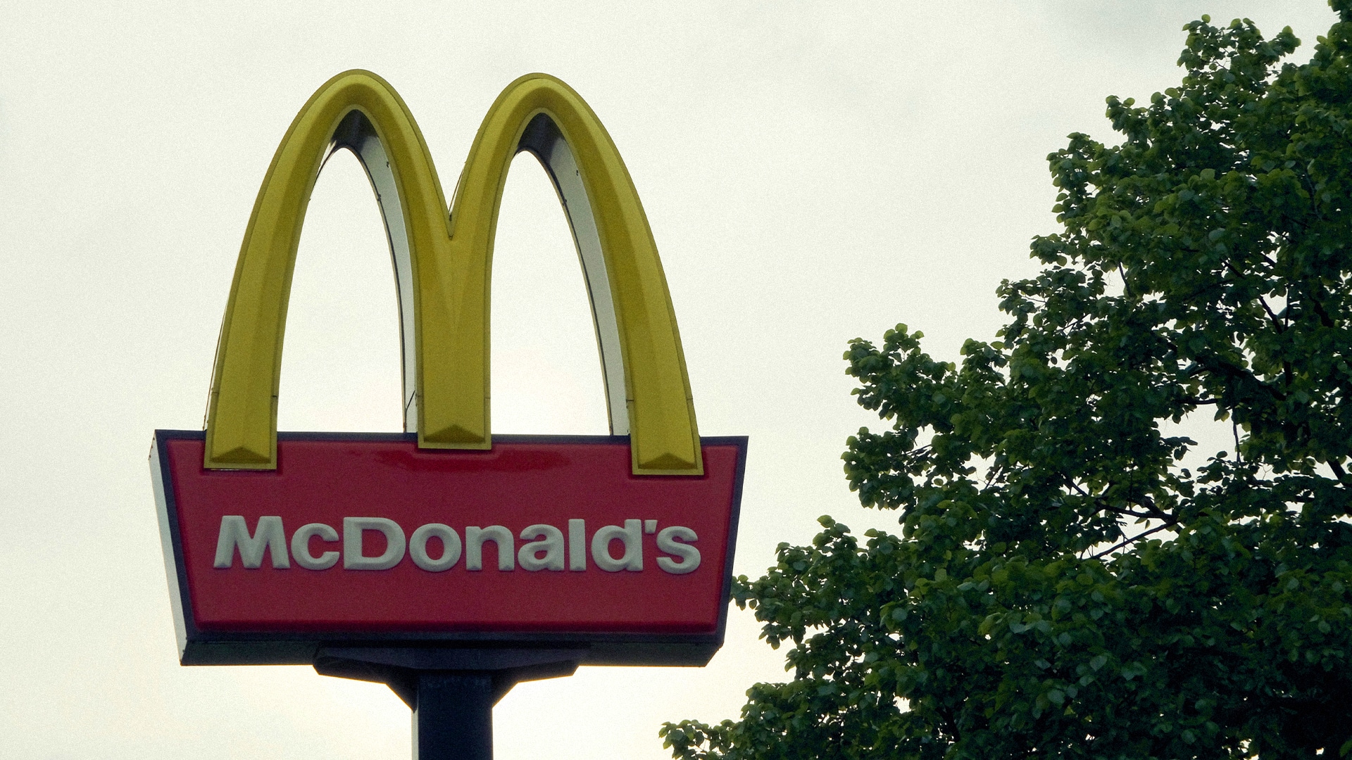 Свадьба в McDonald's набрала 58 млн просмотров в TikTok