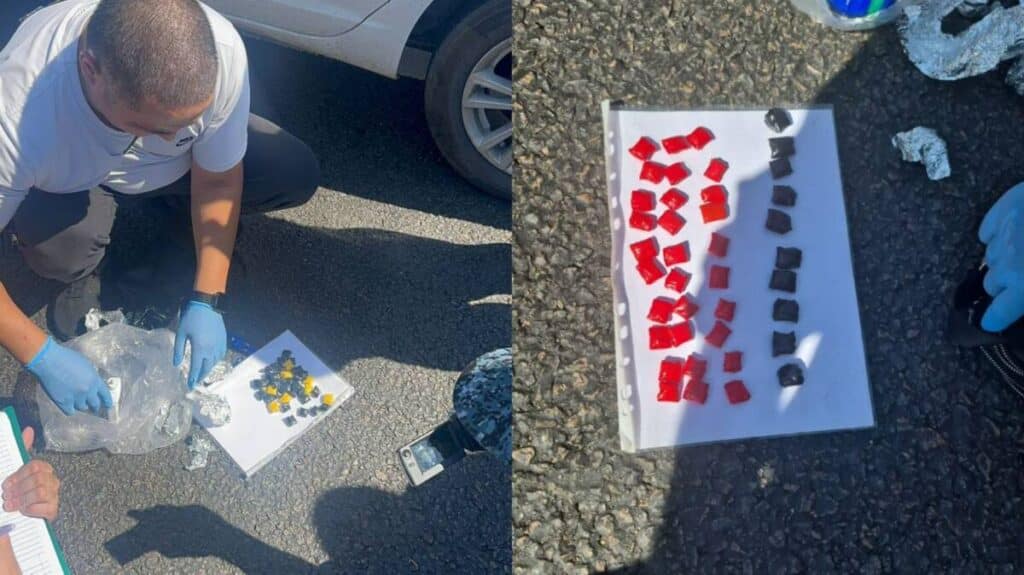 В Петропавловск пытались ввезти партию синтетических наркотиков