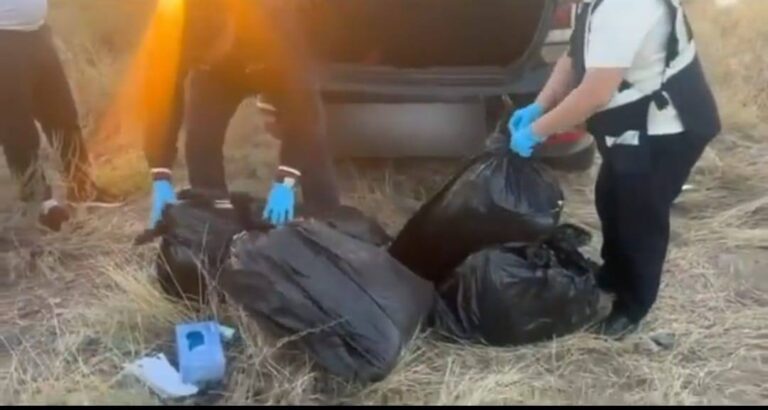 Алматыға 43 келіден астам марихуана жеткізбек болған күдікті ұсталды
