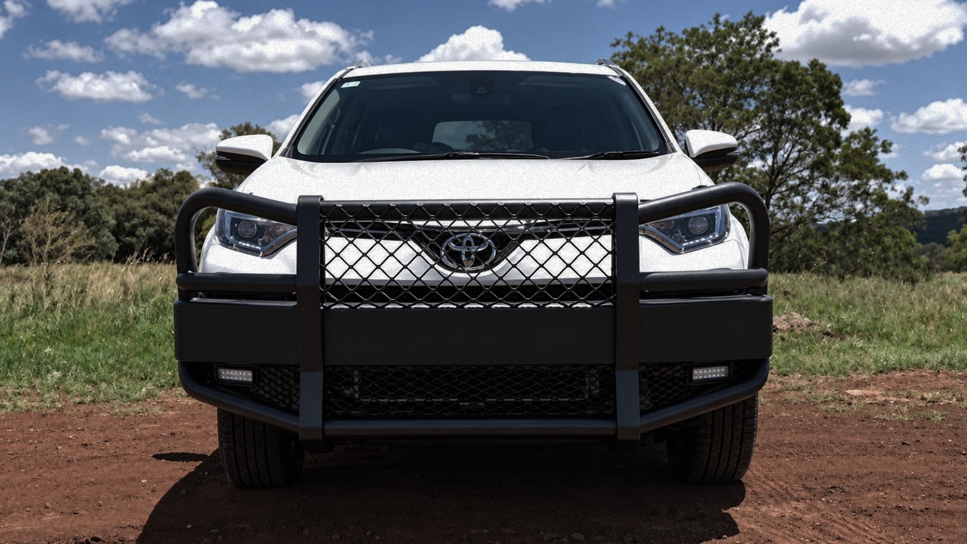 Toyota RAV4 кенгурятник, тойота рав 4 кенгурятник