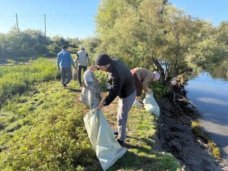 Kazakhstan to join World Cleanup Day
