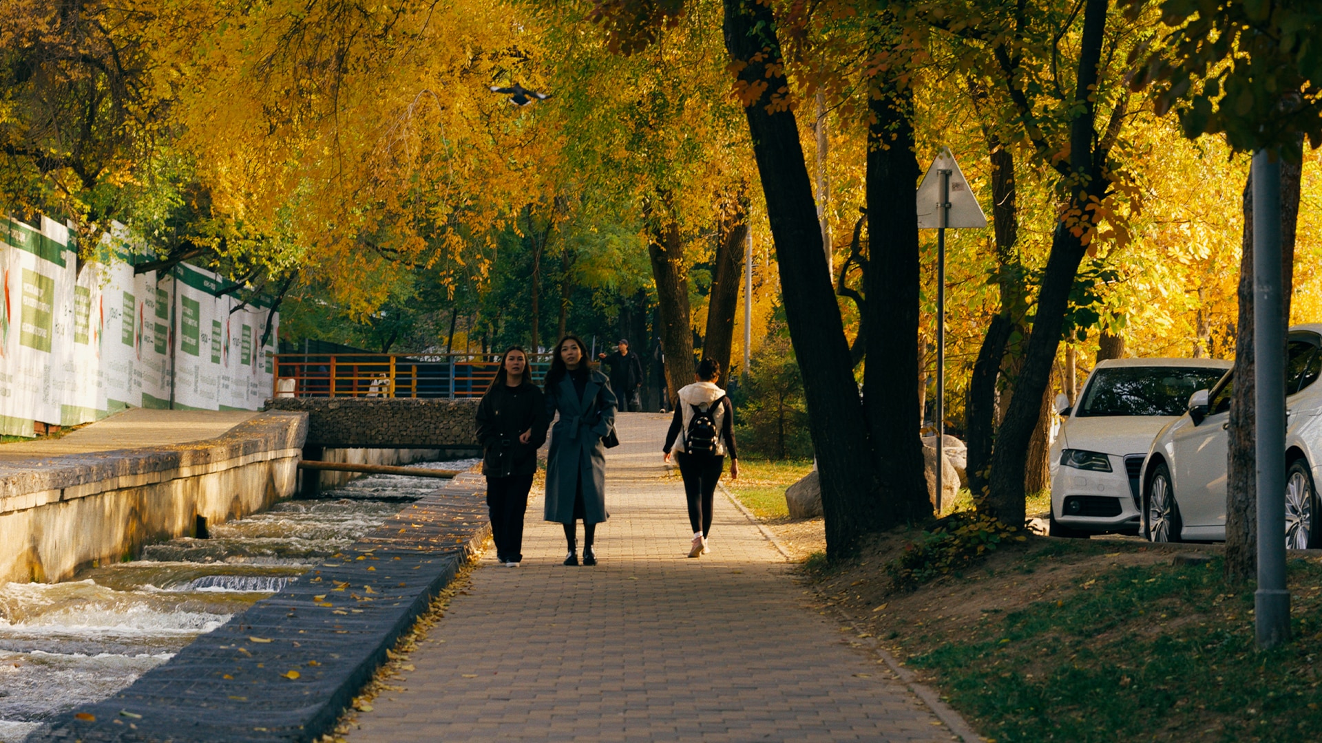 осень