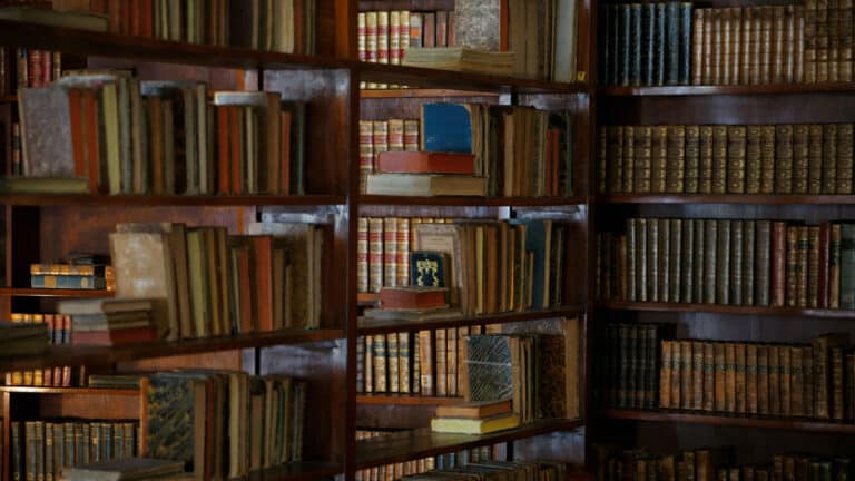 Syrian man recovers library hidden behind wall for 15 years