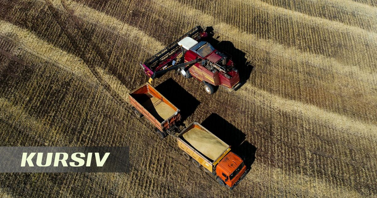 Қазақстан Қытайға астық пен майлы дақылдарды сатып алу көлемін арттыруды ұсынды