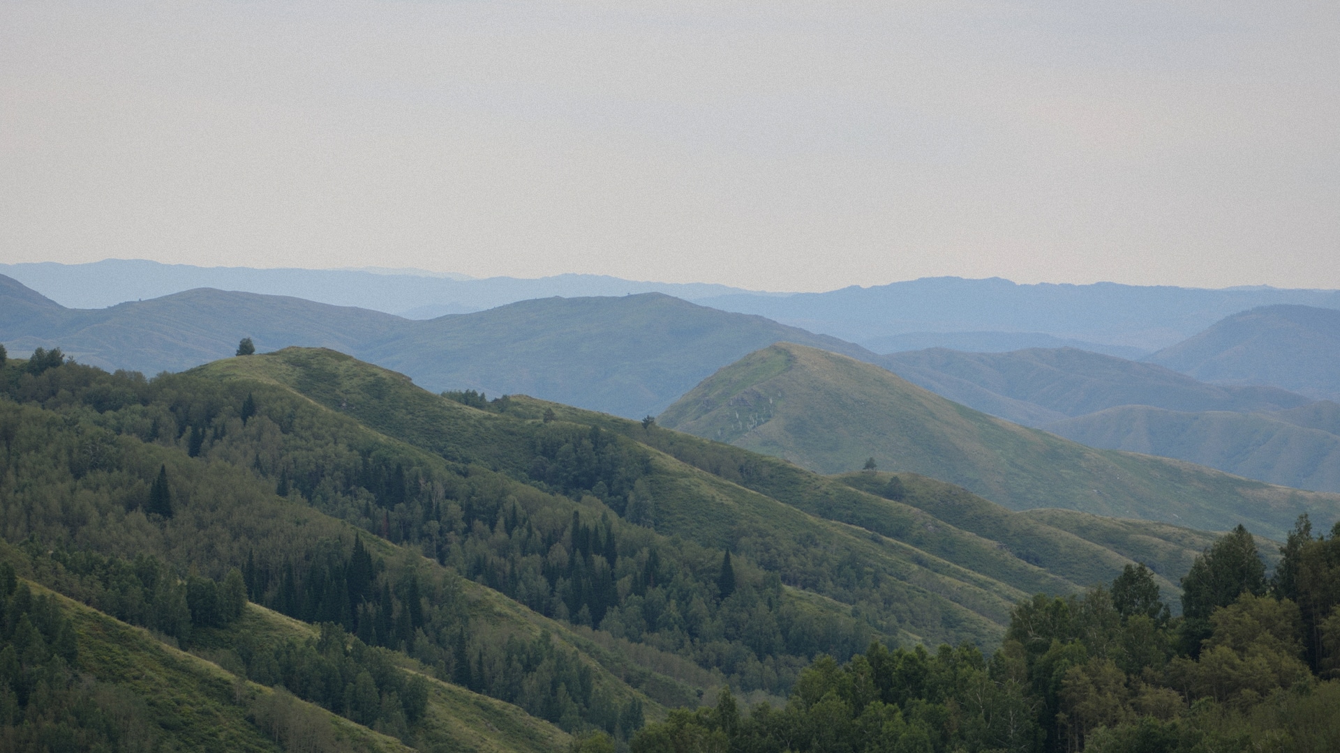 Музтау