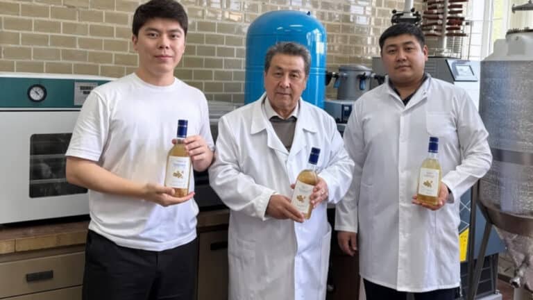 Қазақстандық ғалымдар бал мен зімбірден жаңа сусын әзірледі