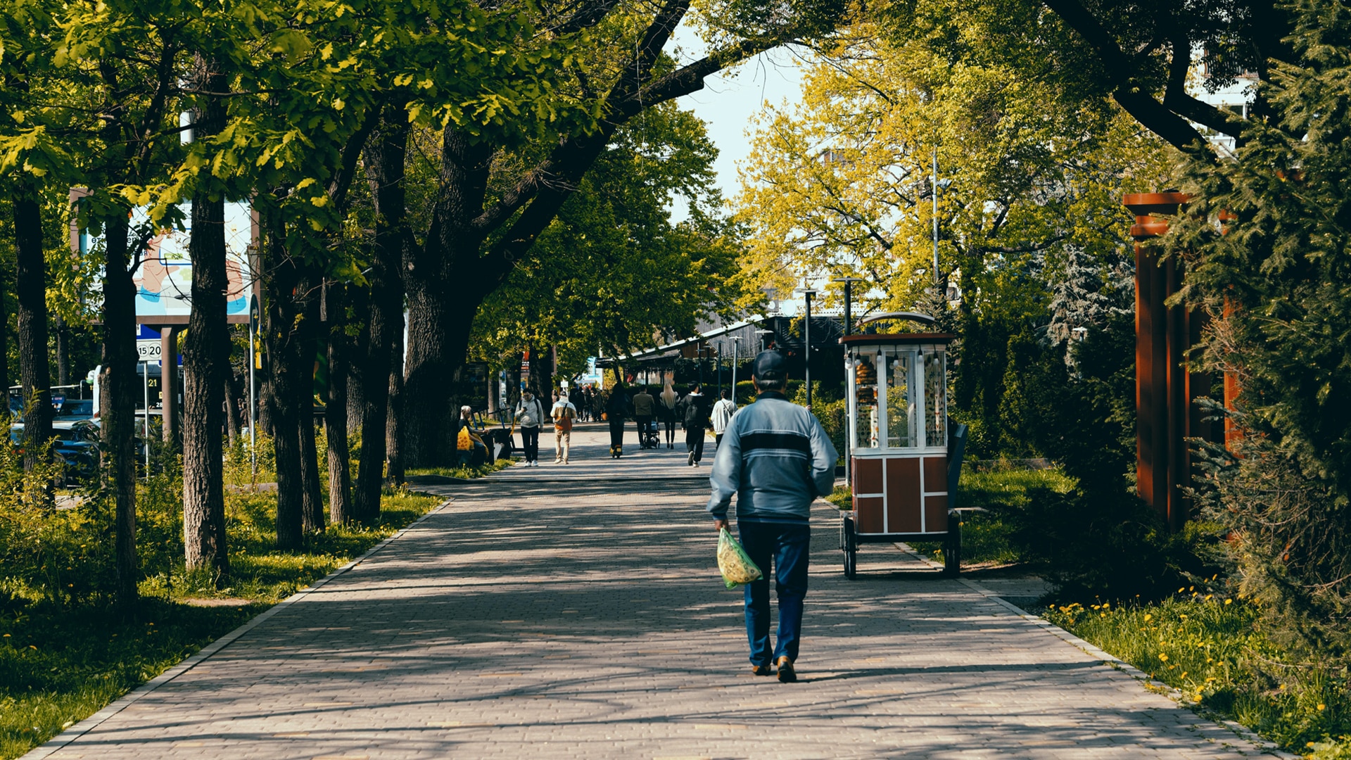 В центре Алматы создают уникальный пешеходный маршрут длиной более 500 метров