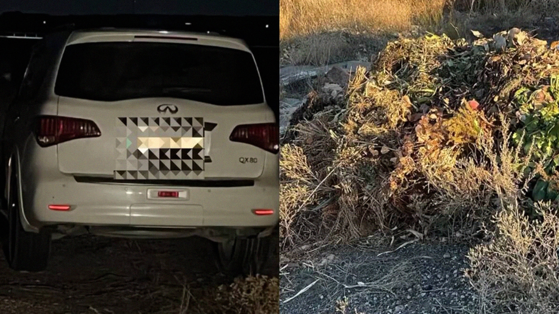 Infiniti QX80, Карагандинская область, незаконная свалка, ботва, Polisia.kz