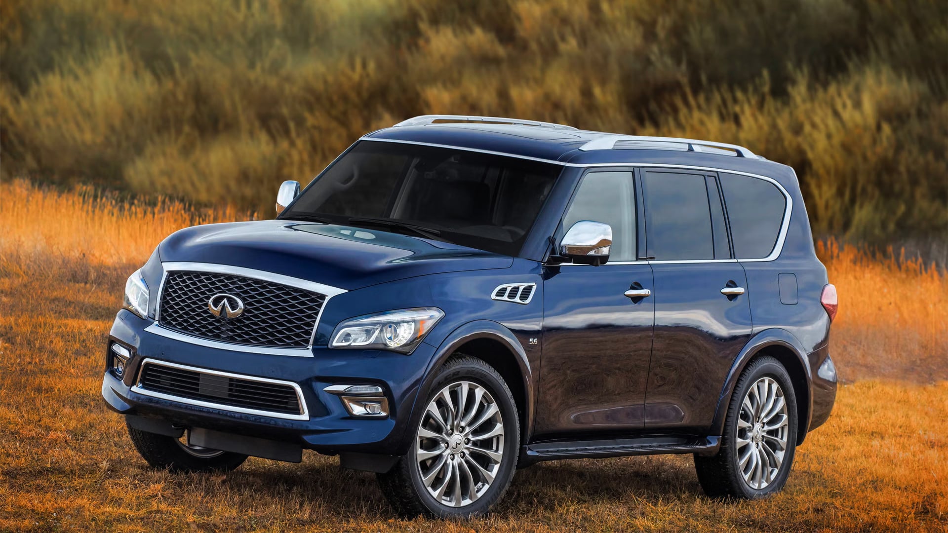 Infiniti QX80, Карагандинская область, незаконная свалка, ботва