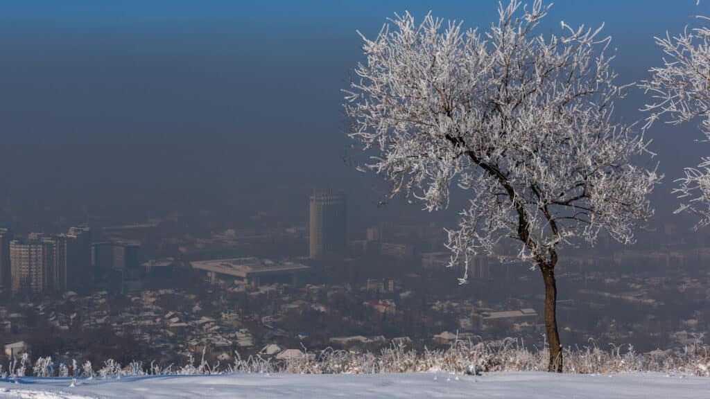 Фото: shutterstock, бильд-редактор: Дастан Шанай