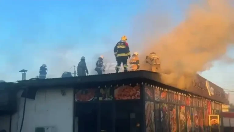 Под Алматы вспыхнул крупный пожар: огонь охватил магазины и столовую